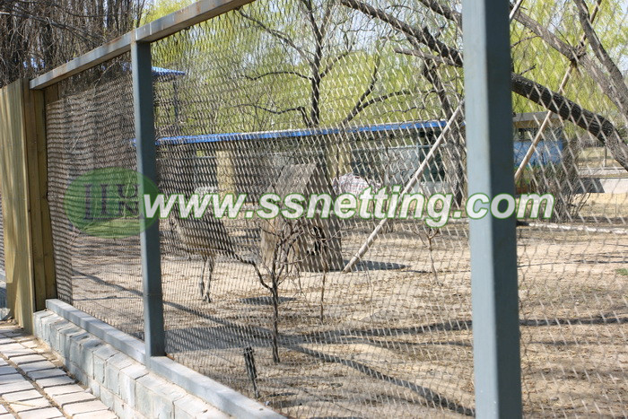 China Ostrich netting suppliers and manufacturer sale 2.4mm, 76mm x 76mm wire rope netting mesh products