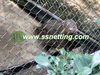 Animal Enclosures Netting