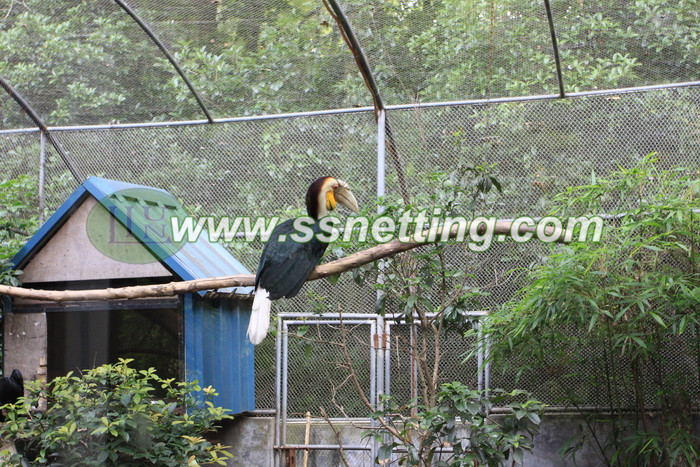 Bird Cage Fencing with Stainless Steel Cable Mesh for Zoos and Aviaries