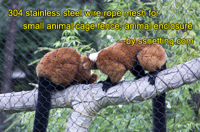 Ailurus fulgens fence, Lesser panda enclosure fence, Bearcat fence netting.jpg