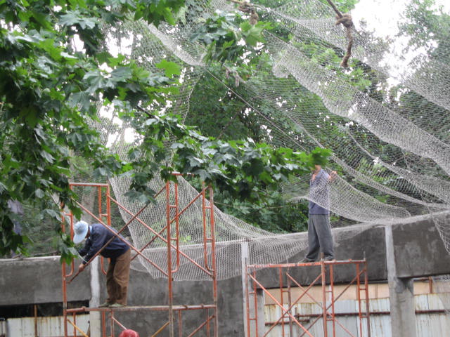 aviary netting in zoo
