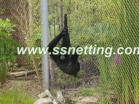 gorilla enclosure (6).jpg
