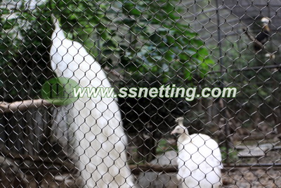 metal white peacock cage netting, white peacock metal netting