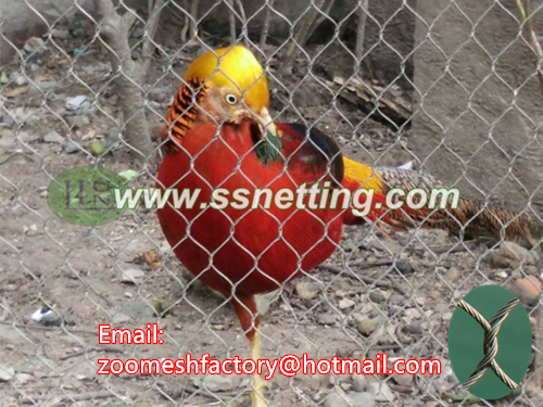 stainless steel Golden Pheasant fence net, turkey cage fence mesh, guinea fowl fence mesh, steel wire rope netting