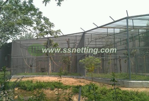 Now is a project case about Gorilla barrier Cage fencing in Beijing zoo, China