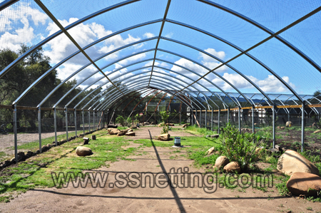 Huge aviary netting mesh manufactory & supplier in zoo, parks, safari