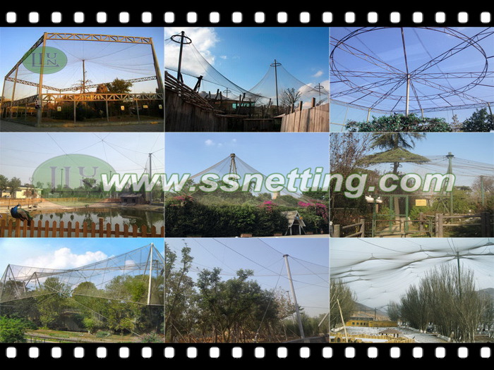Stainless steel material Bird aviary netting