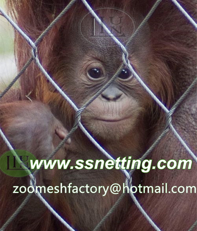 monkey cage mesh, metal wire rope fence mesh.jpg