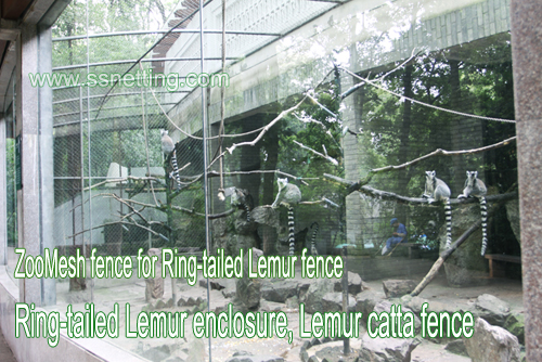 Zoo Mesh fence for Ring-tailed Lemur fence, Ring-tailed Lemur enclosure, Lemur catta fence