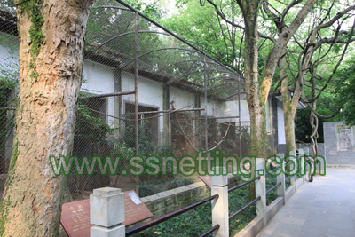 316 stainless steel small bird netting for sale, pigeon netting supplier & manufacture.jpg