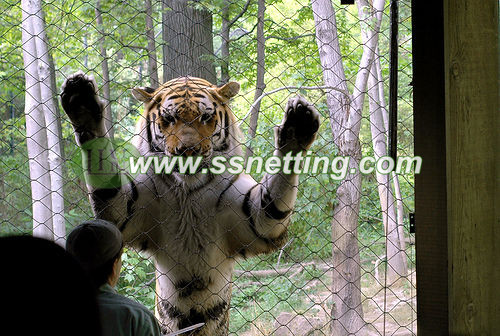 zoo ss tiger fence, safari metal tiger enclosure, wild animal park's fexible tiger zoo fence