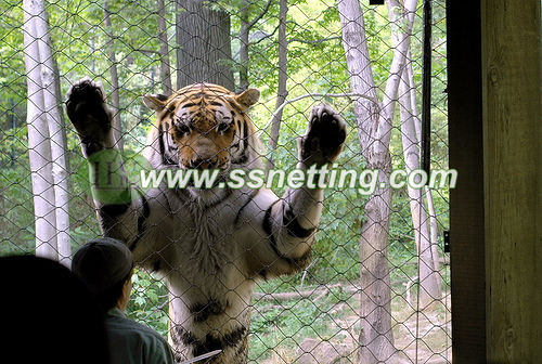 Zoo ss tiger fence, safari metal tiger enclosure, wild animal park's fexible tiger fence