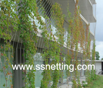 Park separate fence, park partition mesh.jpg