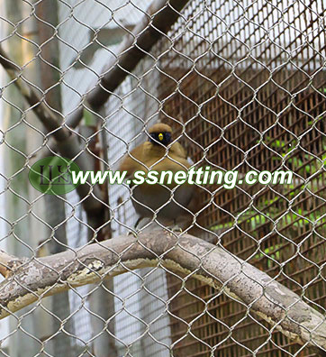 aviary-wire-netting