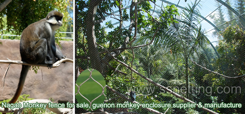 Wire rope netting for Monkey exhibit enclosure 2inch x 2inch