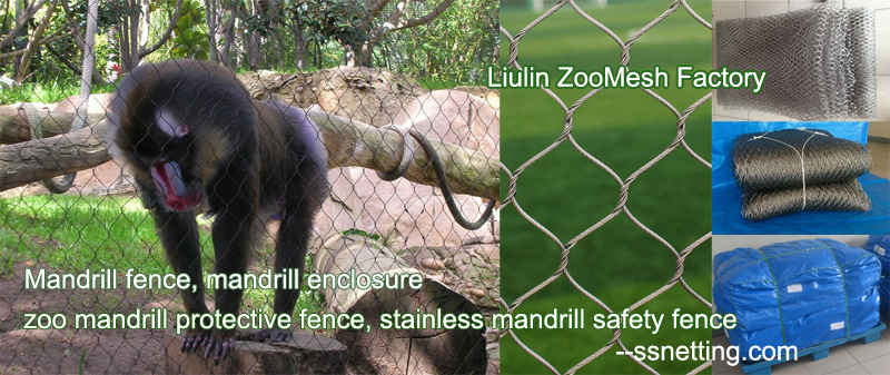 Mandrill fence, mandrill enclosure, zoo mandrill protective fence, stainless mandrill safety fence