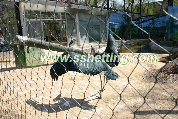 stainless steel bird netting used for Crane netting