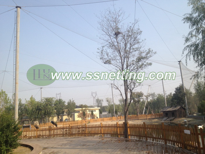 supply Wire rope netting mesh for bird garden, Bird aviary fencing factory