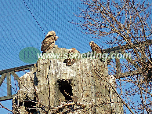 Eagle netting case (2)