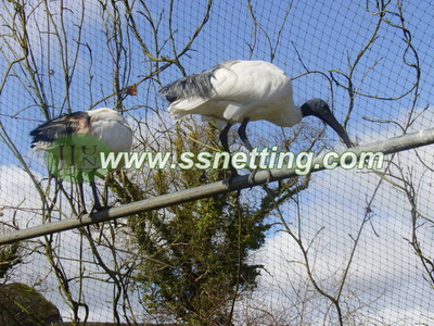 Outdoor stainless steel zoo Crane cage netting manufacture & supplier in China