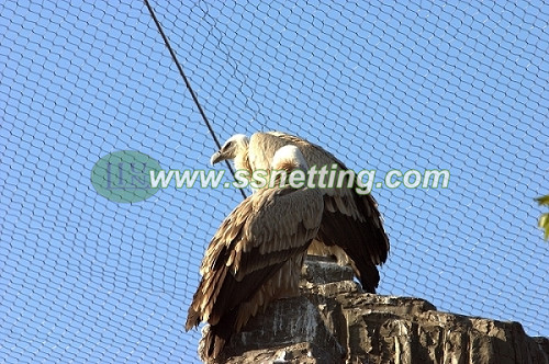 Eagle netting