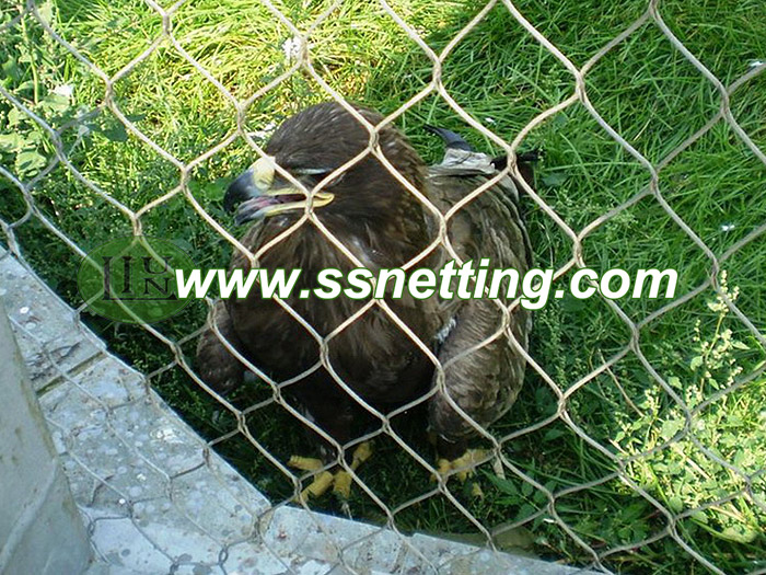 Stainless steel zoo mesh are very suitable for bird vultures cage netting