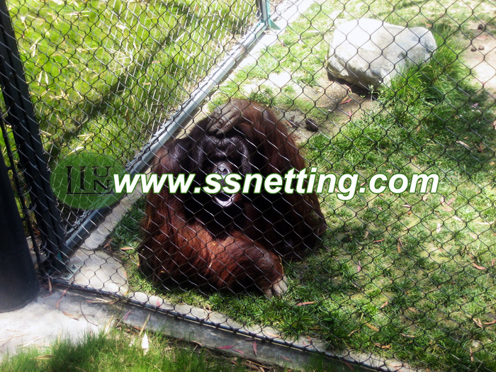 Gibbon fence, Orangutan cage fence, Baboon fence