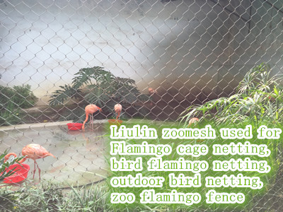 Flamingo cage netting, bird flamingo netting, outdoor bird netting, zoo flamingo fence