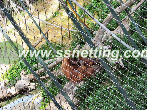 liulin manufactures supplies for gibbon cage fence netting, gibbon enclosures protection