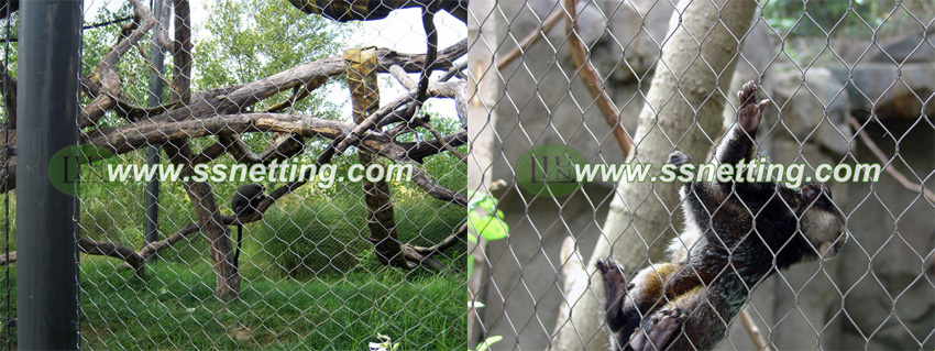 mall cat cage fence, outdoor cage fence for small cats