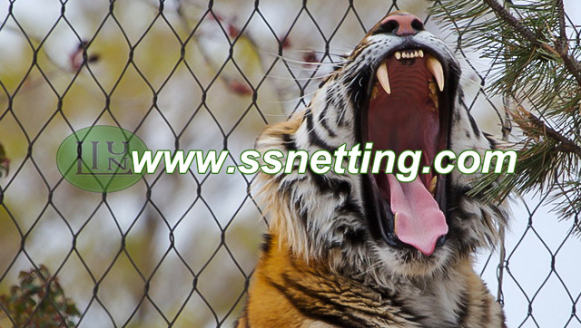 Premium Zoo Mesh for Animal Safety and Park Management