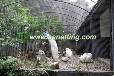 White Peacock netting, white peacock fence