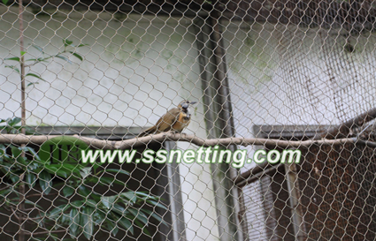Bird Cage Netting, stainless steel bird netting, bird netting mesh