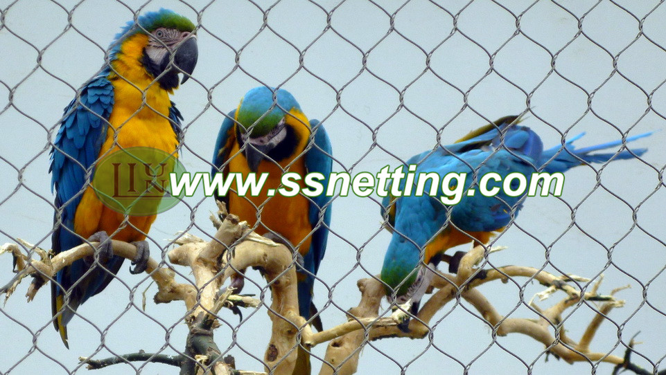 Bird park, zoos, aviary or garden's Cockatoo cage netting