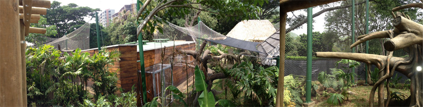 Zoo Monkey cage fence, Outdoor Monkey enclosure, Monkey cage netting fence