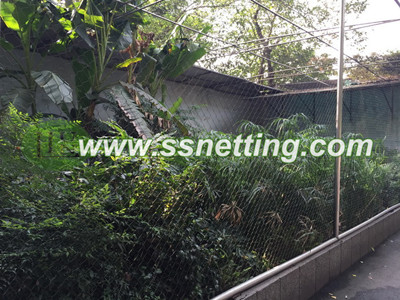 Zoo Crane cage netting, bird crane cage fence, outdoor crane netting, stainless steel crane netting, Crane bird protective netting