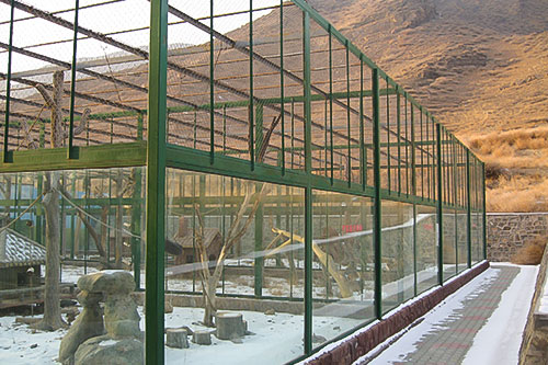 bird cage netting mesh by 304 wire ropes