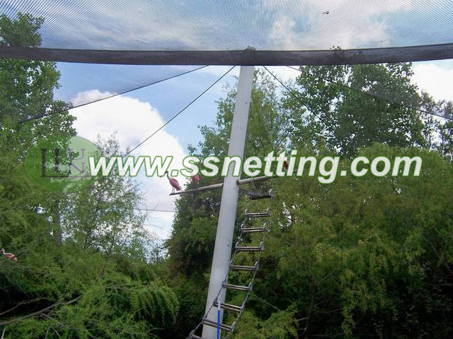 Stainless steel wire rope netting mesh, Zoo Mesh netting