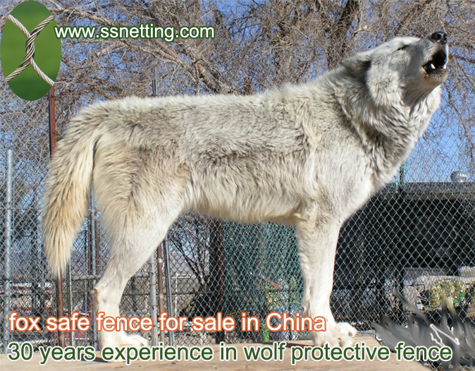 30 years experience in wolf protective fence, fox safe fence for sale in China