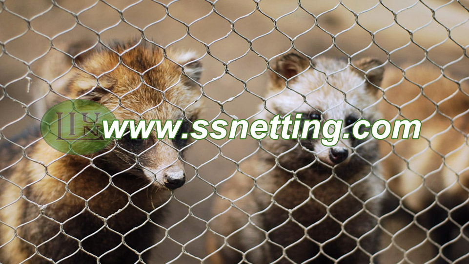 Zoo Protective Mesh: Ensuring Animal and Tourist Safety