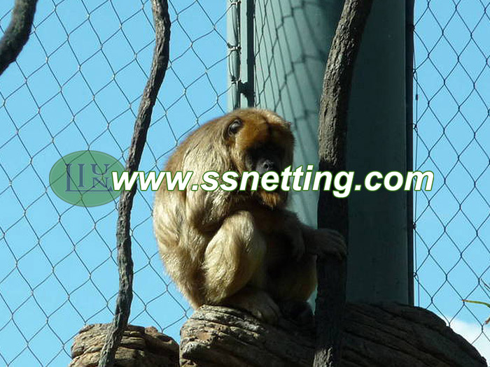 Premium Monkey Enclosure Mesh | Safe & Durable Primate Habitat Fencing