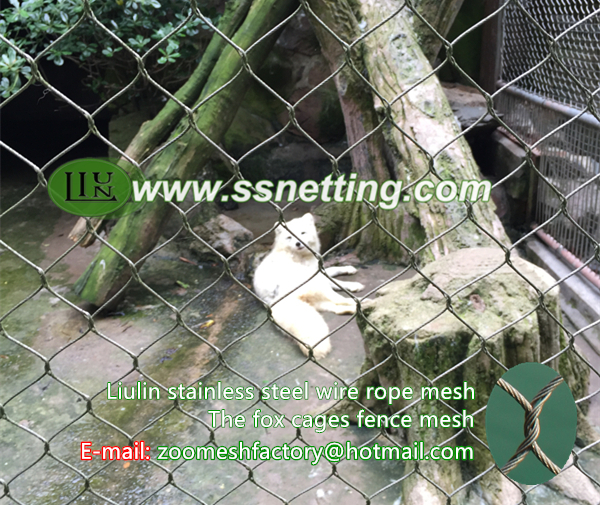 Zoo fox cage mesh, stainless steel fox cage fence mesh supplier, wire rope fox cage enclosure mesh