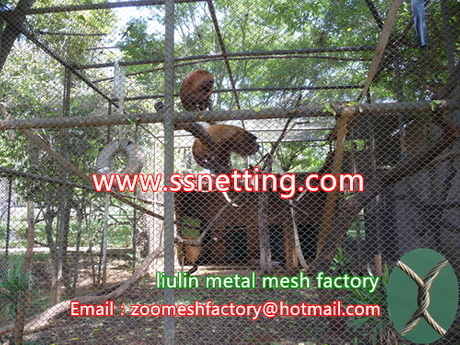 metal rope mesh,steel wire net.jpg