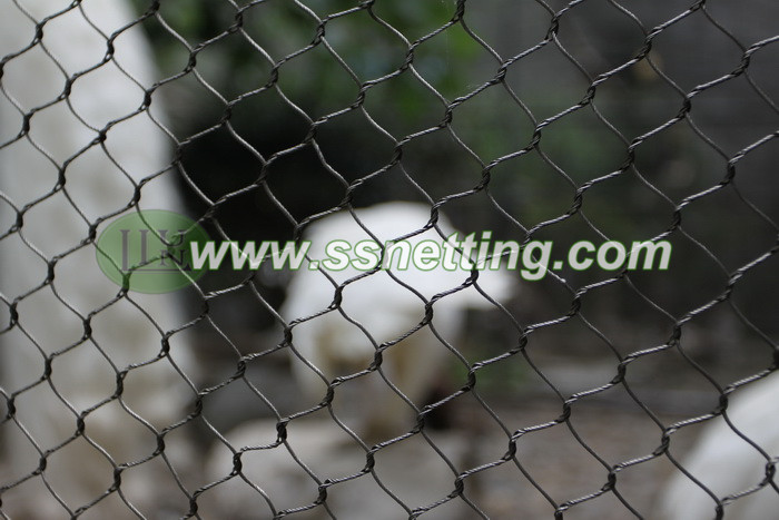 Black oxide stainless steel cable woven mesh can be used for bird cage fence, bird netting, bird aviary netting, bird cage screen netting, bird cage protective fence, birds safe nets, and so on.