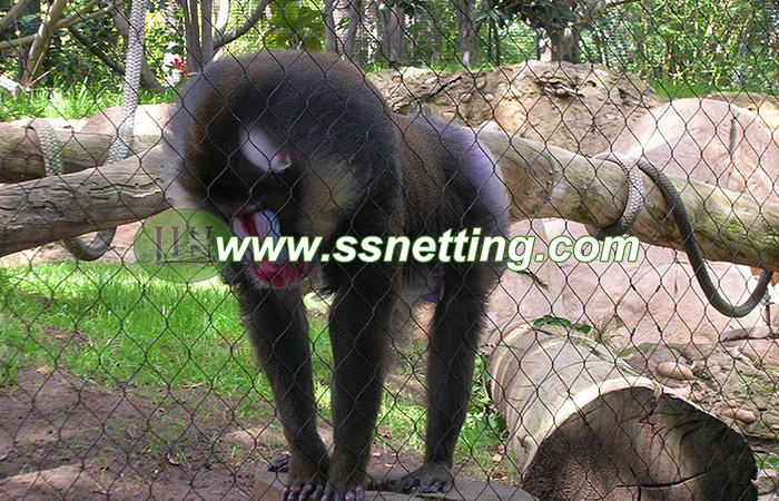 Gorilla Cage Fence, Gibbon fence, Orangutan cage fence