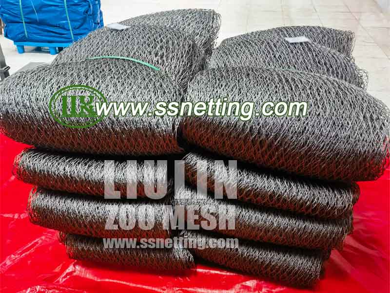 Macaw Parrot Mesh Order Shipping
