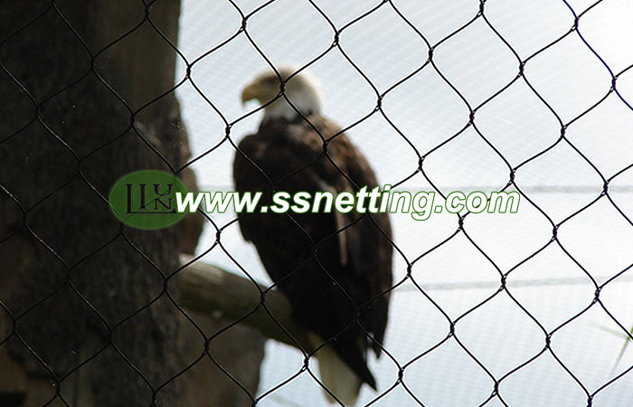 Black oxide stainless steel eagle netting