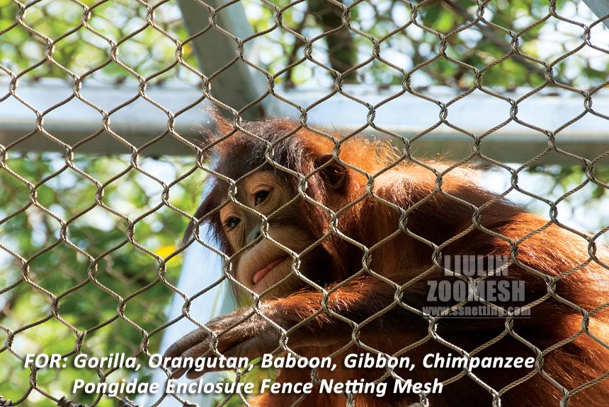 Understanding the Strength and Versatility of Gorilla Fence Mesh