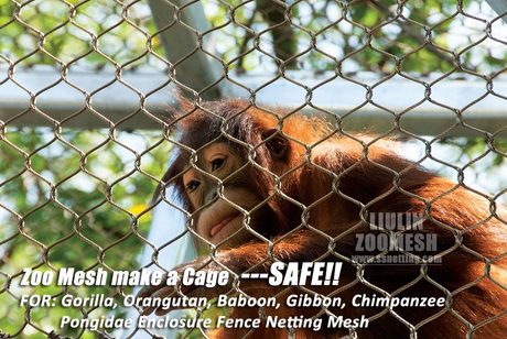 Gorilla Cage Fence-01.jpg