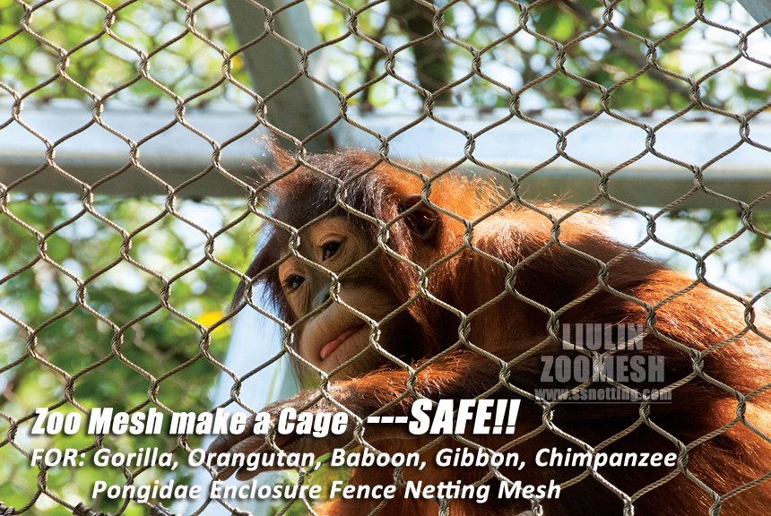 Gorilla Fence Netting for Zoos, Wildlife Parks, and Animal Exhibits